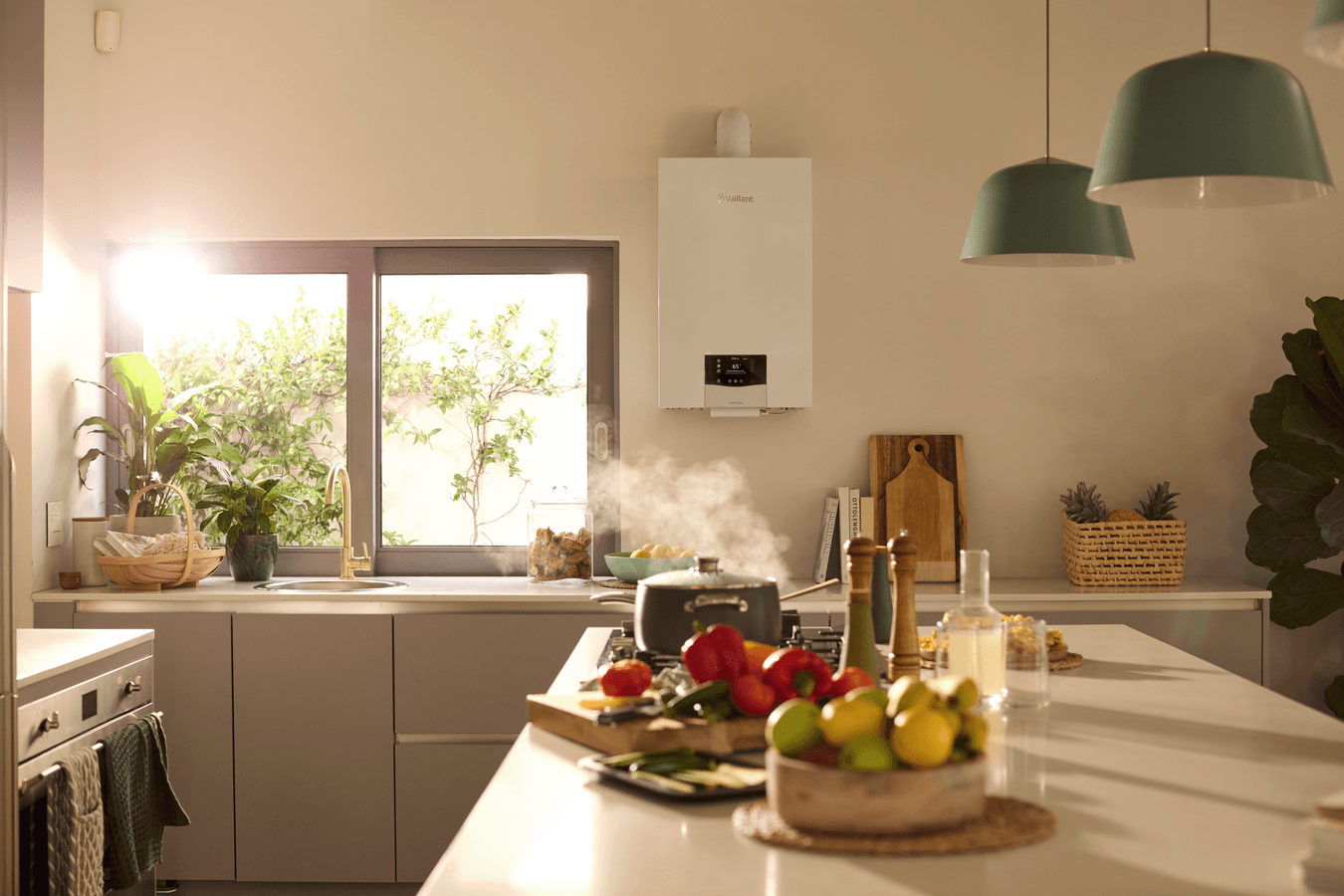 ecoTEC plus 10-35 кВт scene view