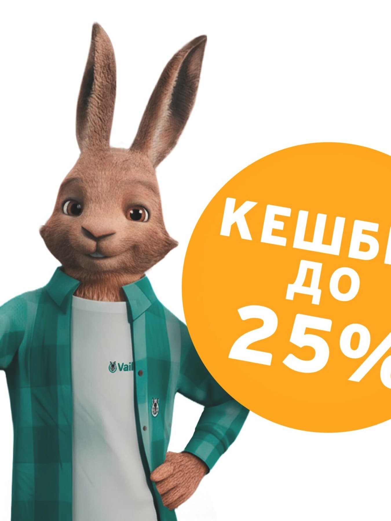 заєць Vaillant