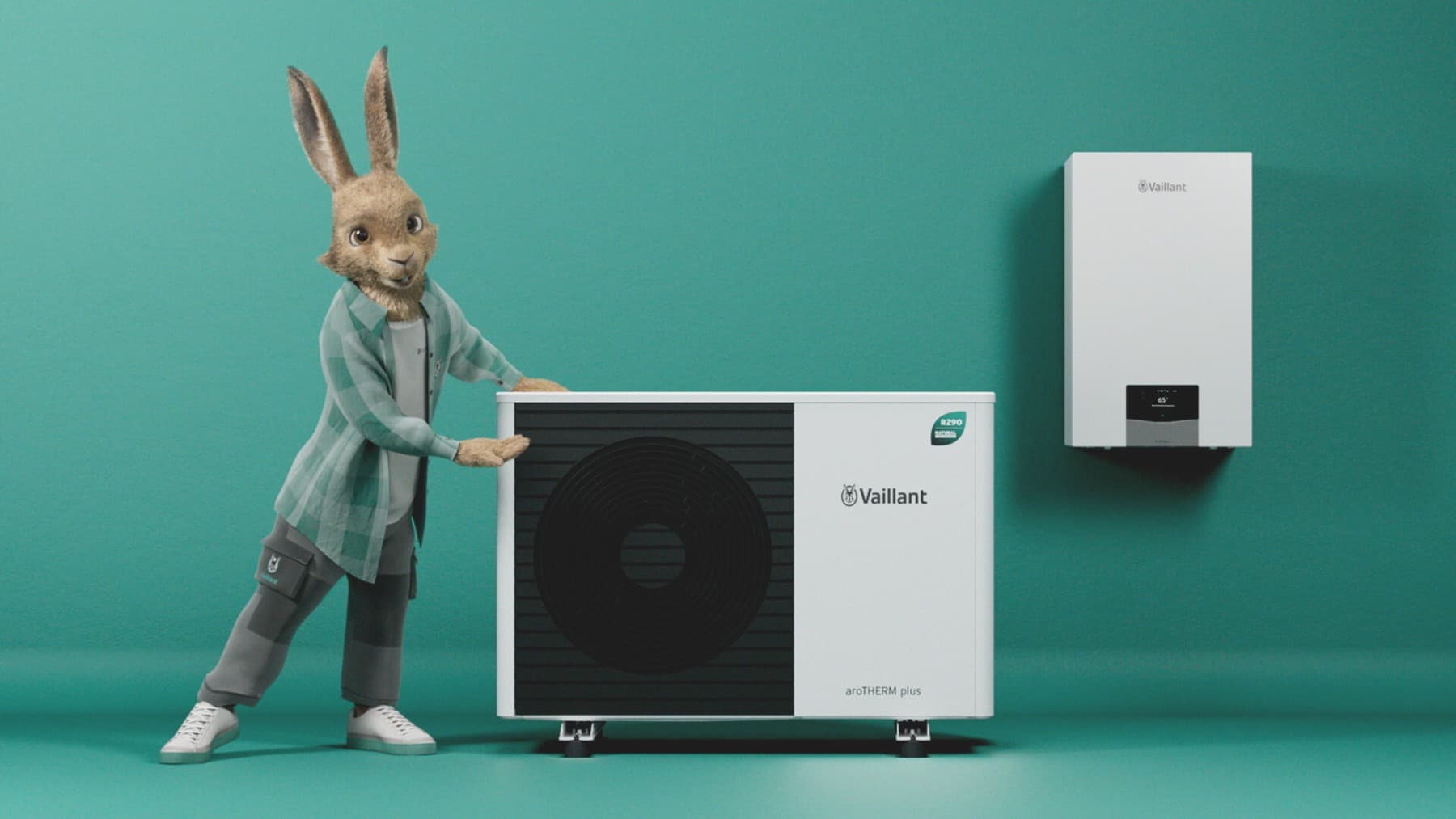 заєць Vaillant з обладнанням